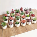 Artificial Plants with Pot - Nanag store