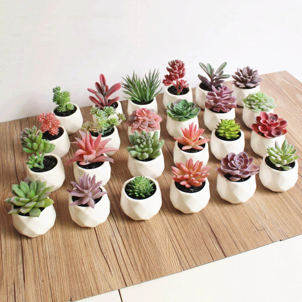 Artificial Plants with Pot