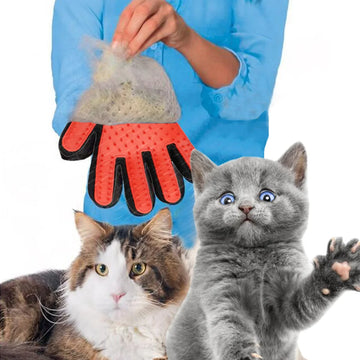 Silicone gloves, pet brush comb