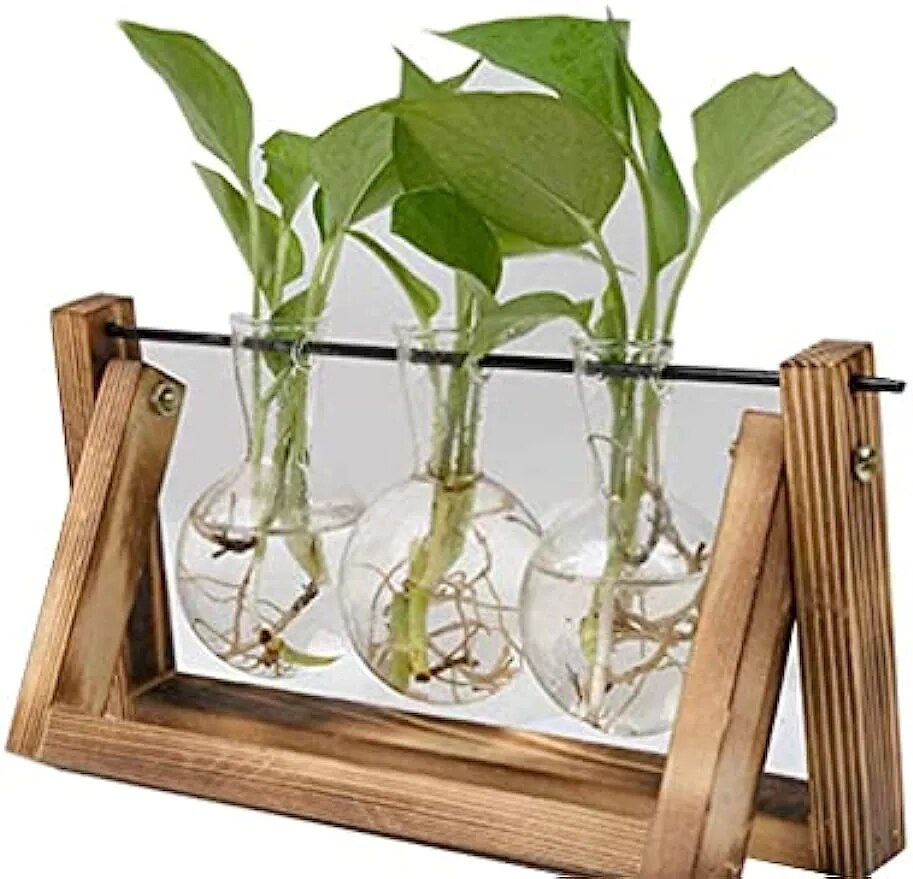 Bitkiler kabarcık vazo yemek masası ofis dekor
