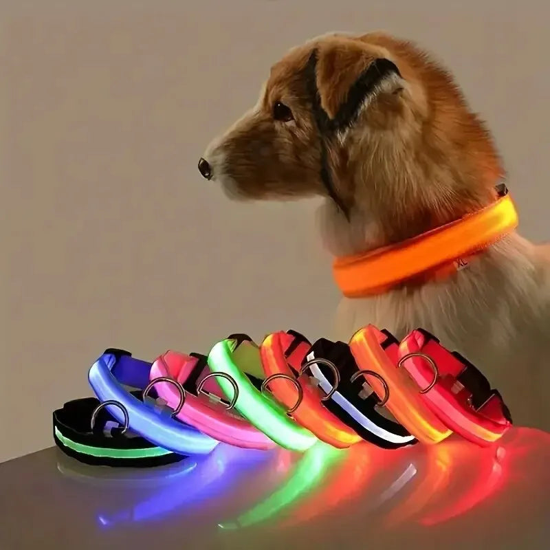 Led glowing dog collar