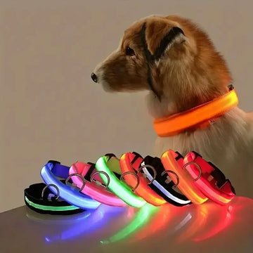 Led glowing dog collar