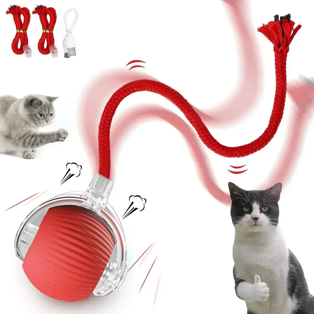 Cat ball with cord