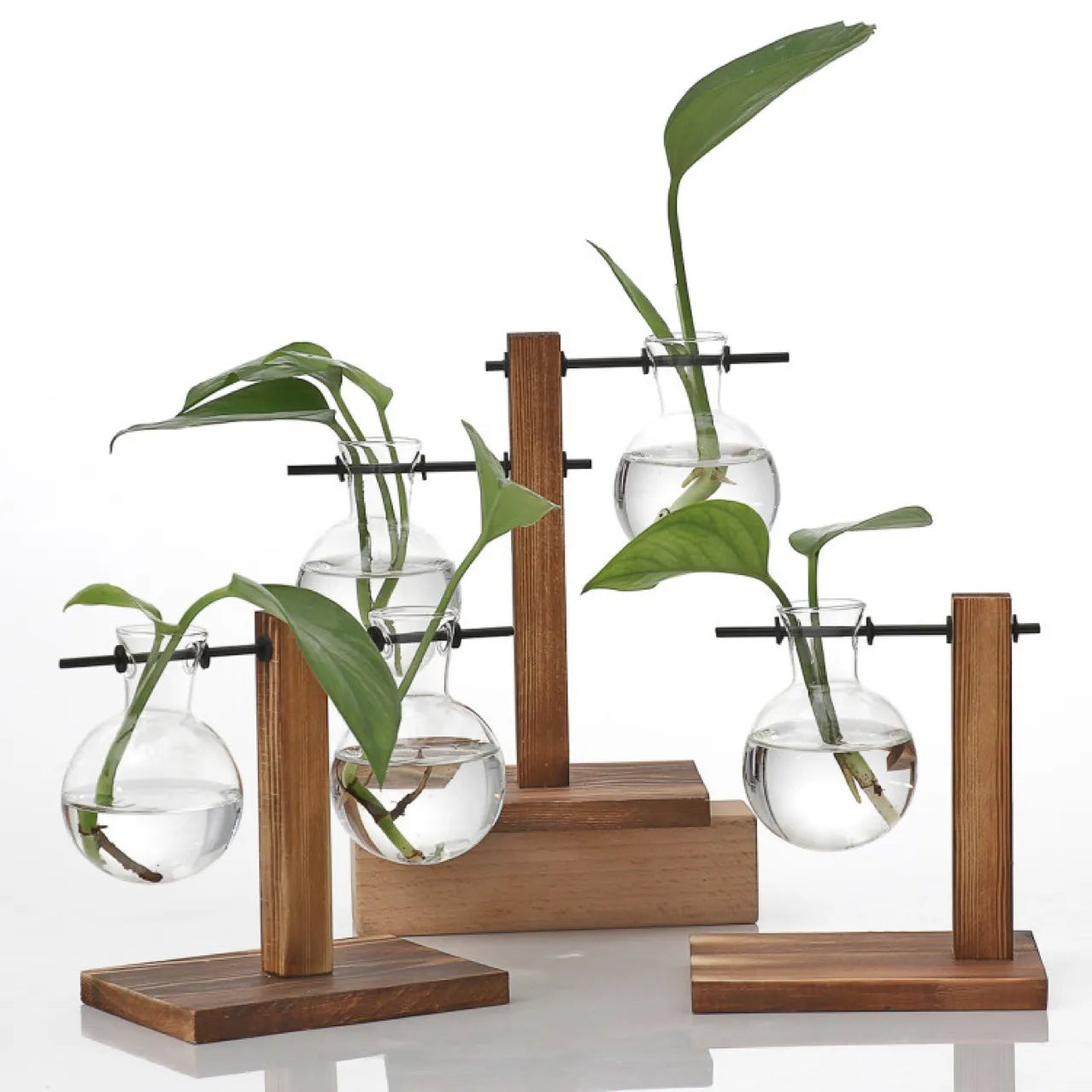 Plantes bulle vase table à manger décor de bureau