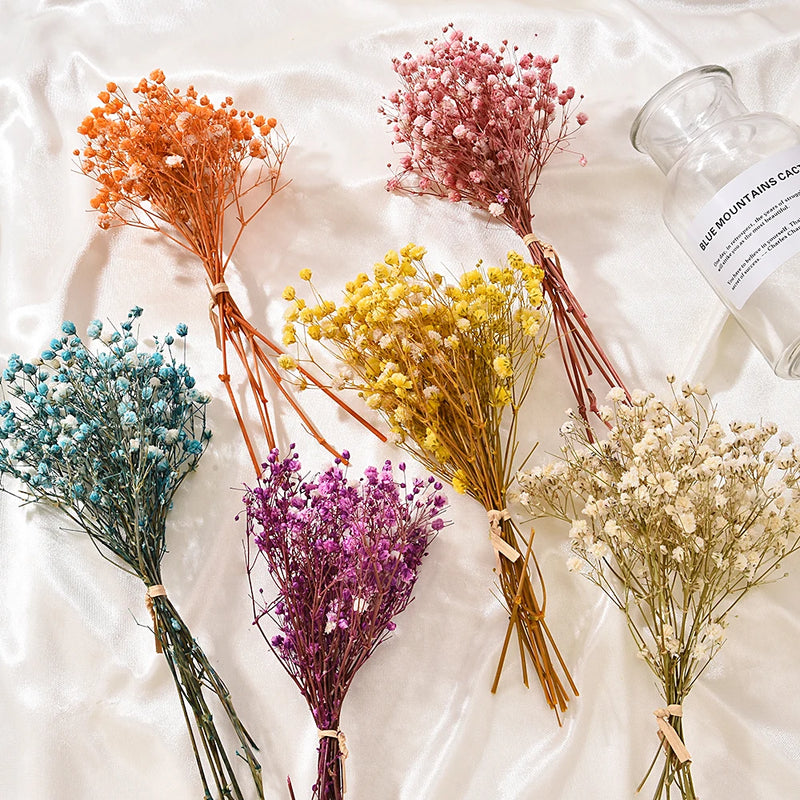 Small Natural Dried Flowers Bouquet - Nanag store