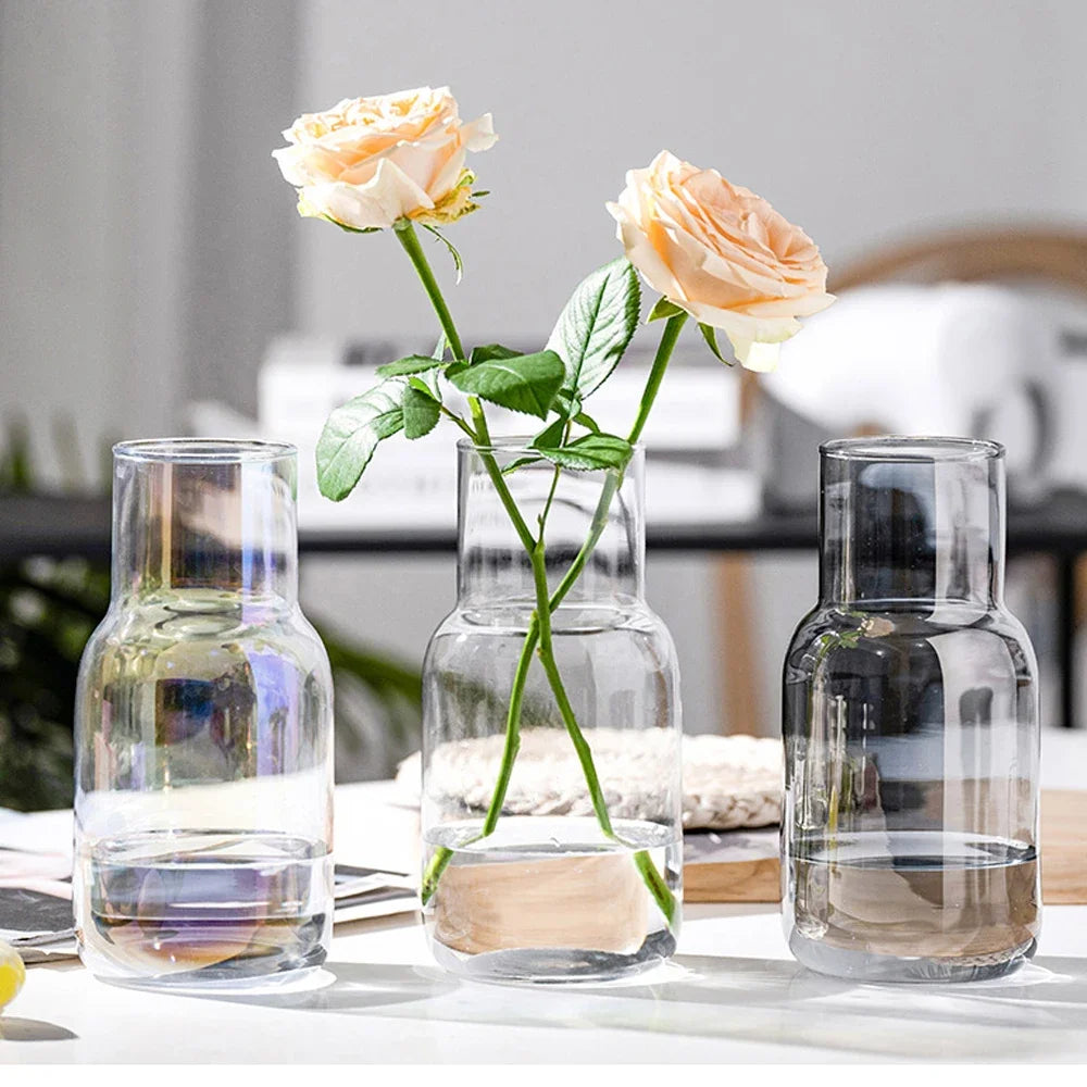 Decorative vases modern nordic transparent hydroponic glass vase