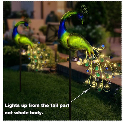 Waterproof solar-powered LED lawn light peacock