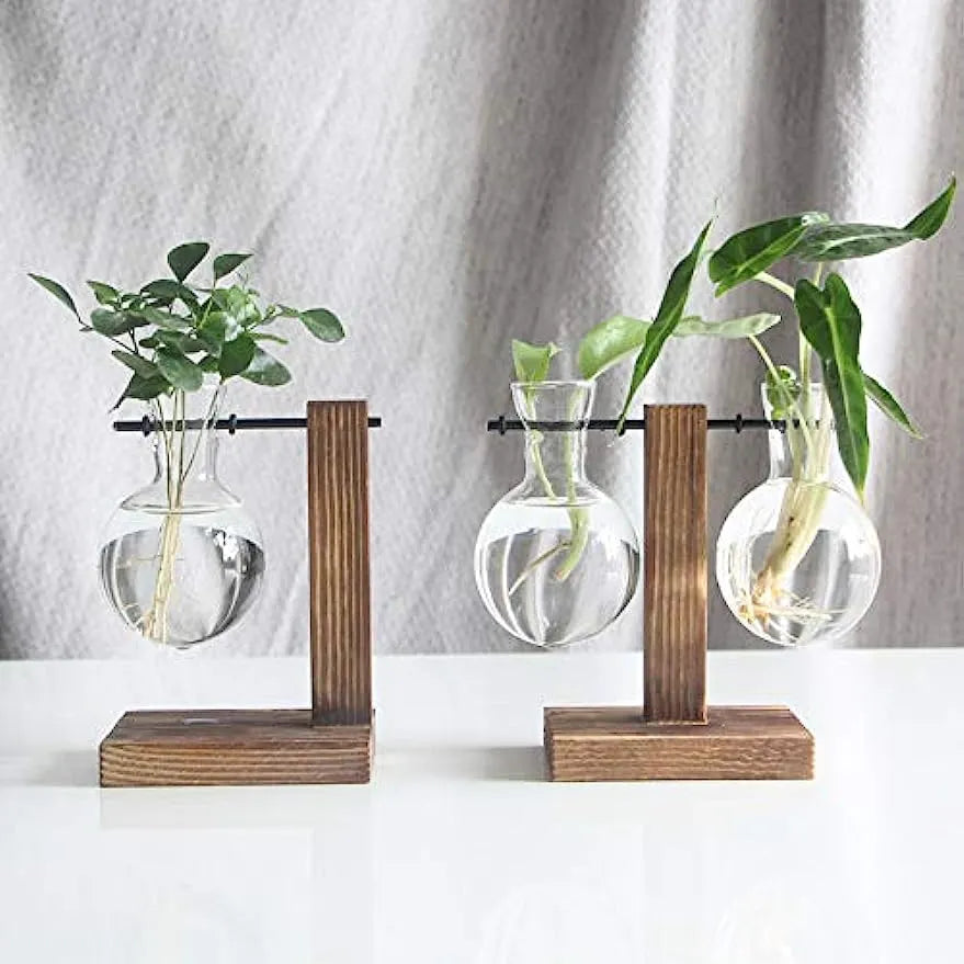 Plants bubble vase dining table office decor Nanag store