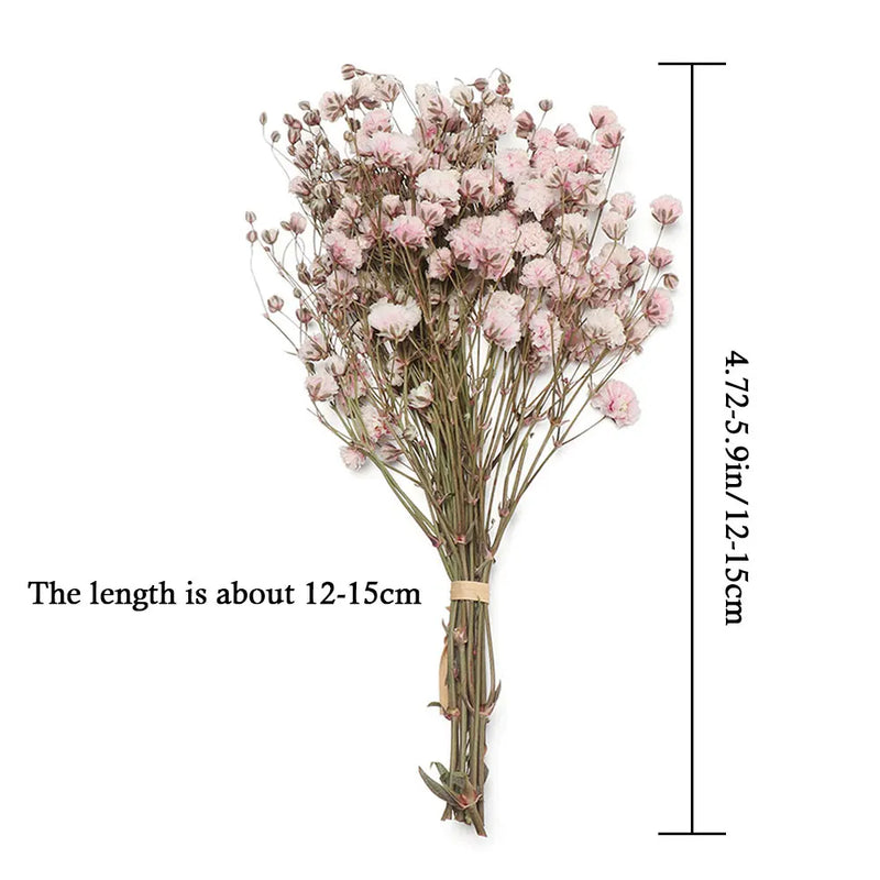 Small Natural Dried Flowers Bouquet - Nanag store