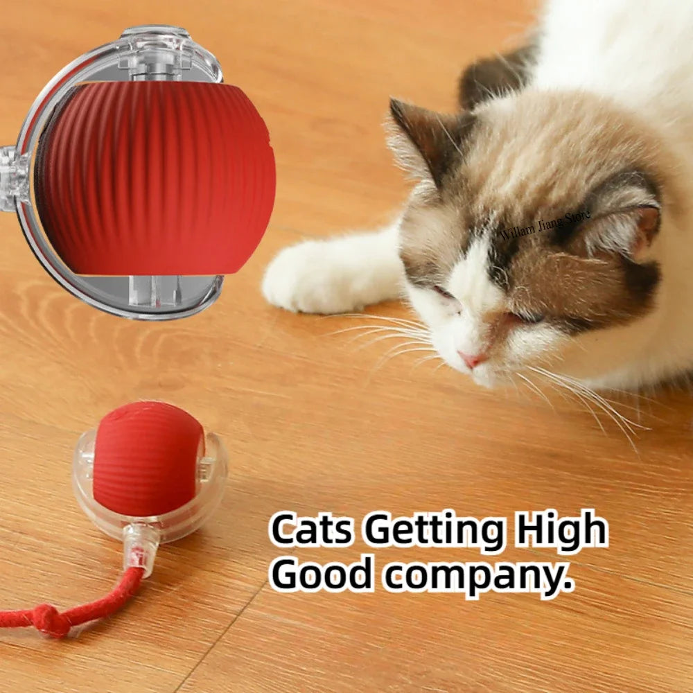 Cat ball with cord