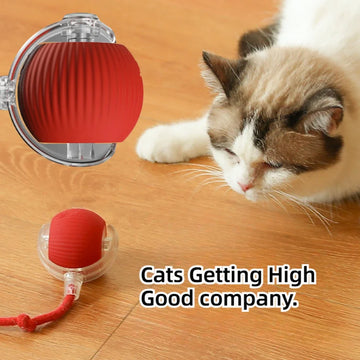 Cat ball with cord